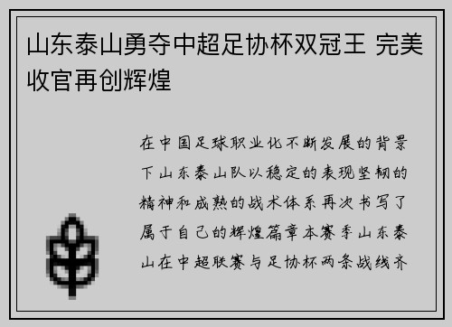 山东泰山勇夺中超足协杯双冠王 完美收官再创辉煌